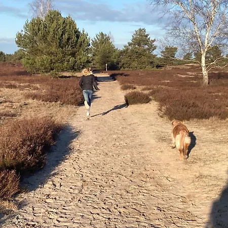 Parforce Διαμέρισμα